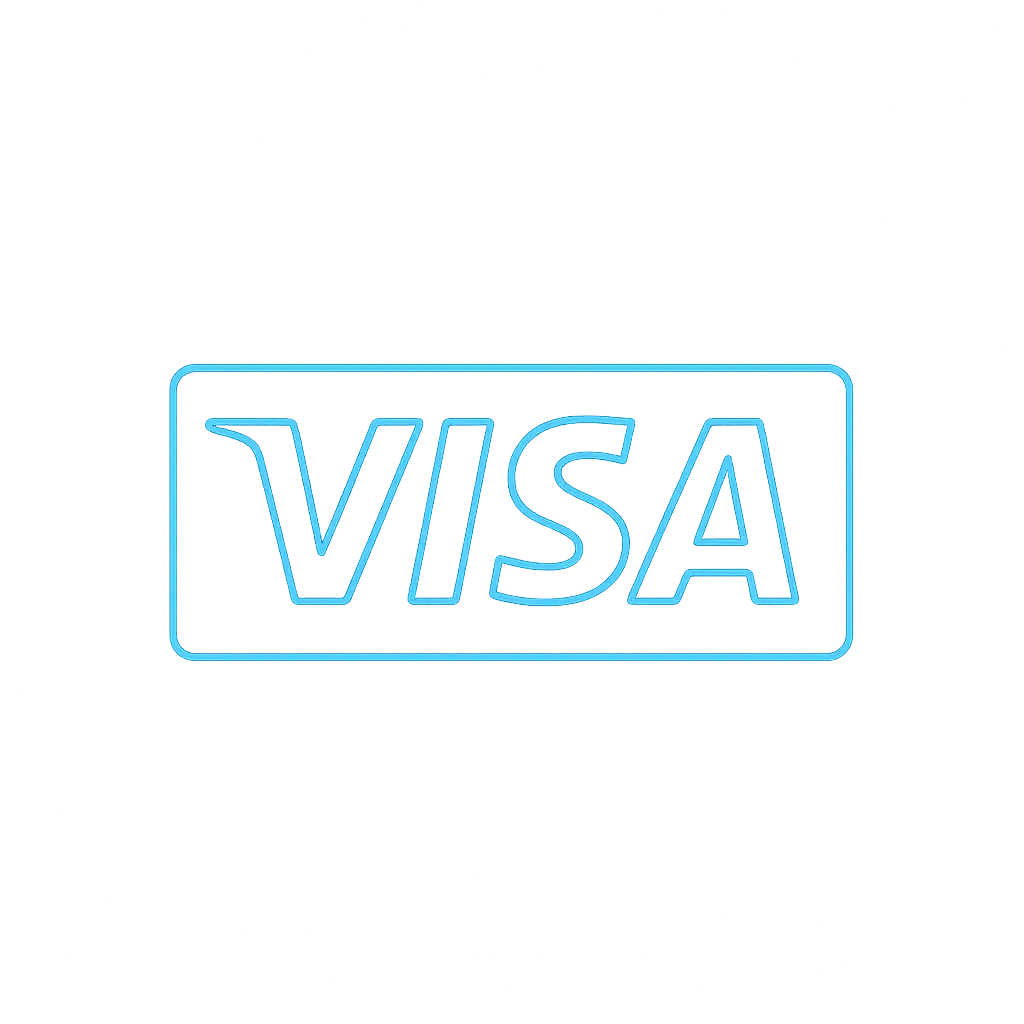 Visa icon